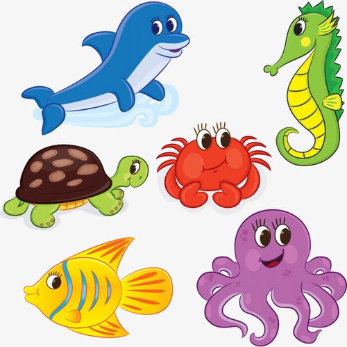 海洋动物卡通图片