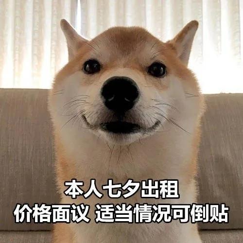 七夕单身狗表情图片