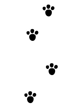 动物的脚印图片