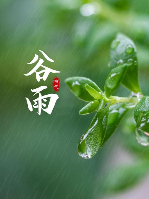 谷雨节气祝福语图片