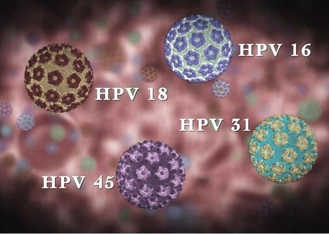 hpv是什么病毒图片