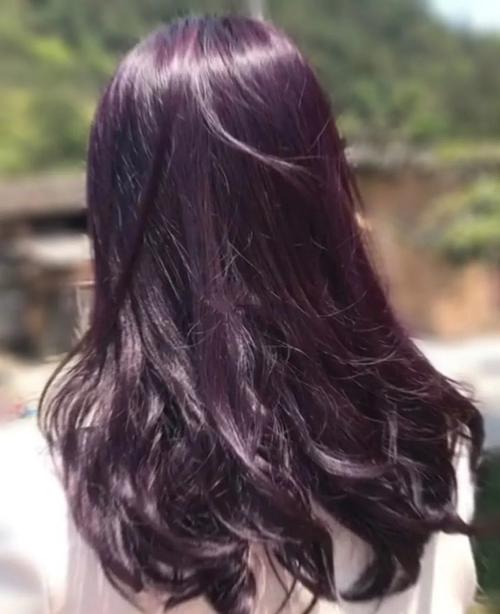 紫茶色头发图片