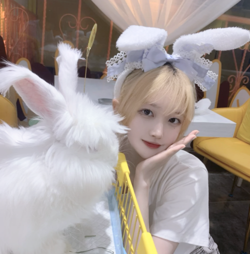 女生小兔子头像真人 女生小兔子头像真人图片可爱大全