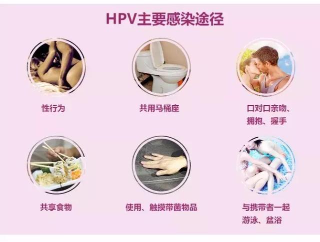 hpv图片女性