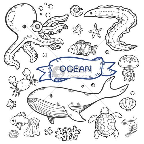 海洋动物简笔画图片大全