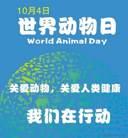 世界动物日图片 世界动物日宣传海报图片大全