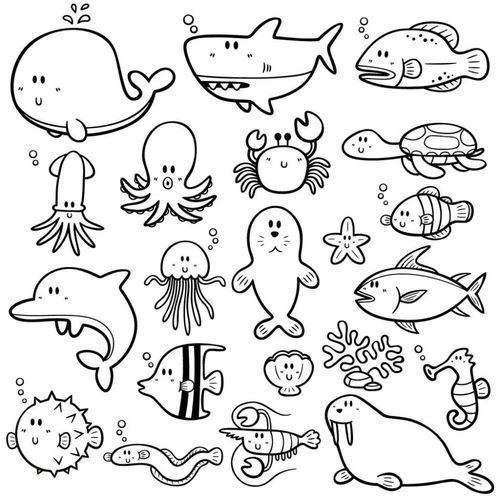 海底动物简笔画图片大全 海底动物简笔画图片可爱