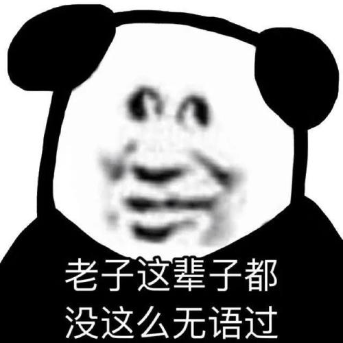 沙雕熊猫头像