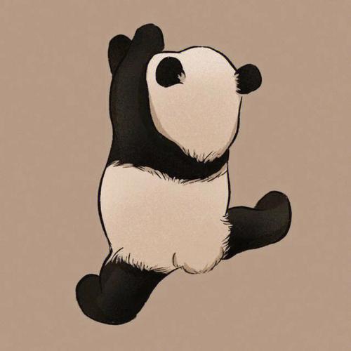 小熊猫可爱图片呆萌头像
