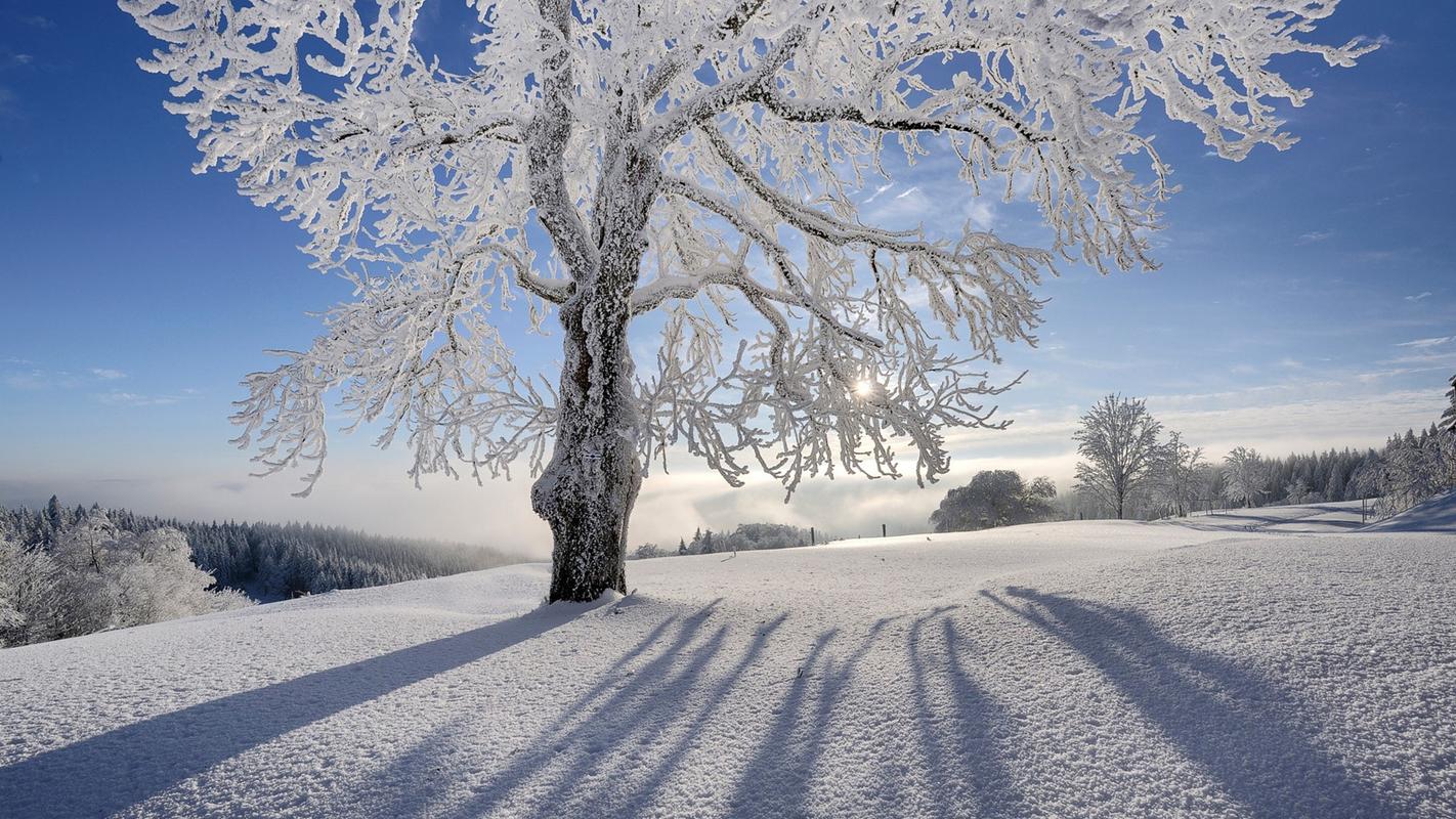 冬天的风景图片