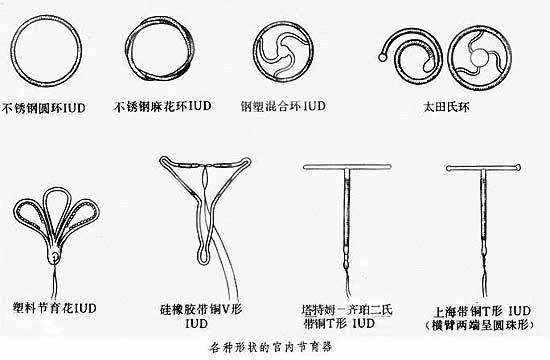 环的形状图片有几种