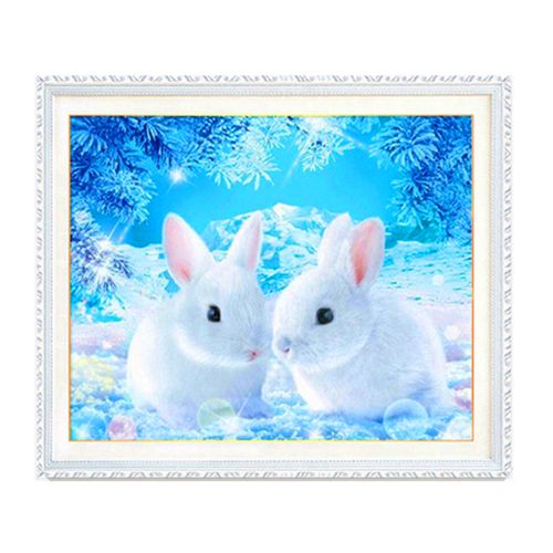 两只情侣兔子图片 两只兔子的爱情图片