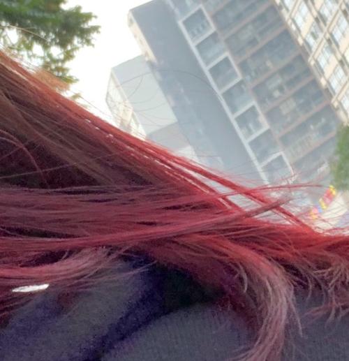 葡萄红头发