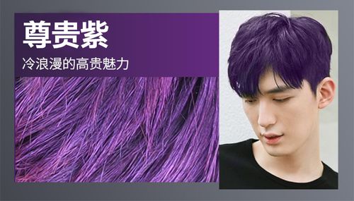 紫色发型男