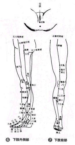 人体腿部经络位置图
