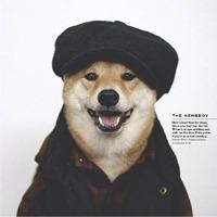 戴帽子的狗狗头像图片 戴帽子的狗照片