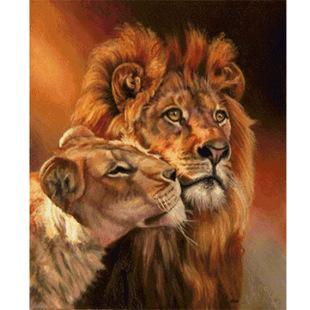 狮子情侣图片