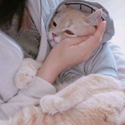 女生抱猫咪头像情侣
