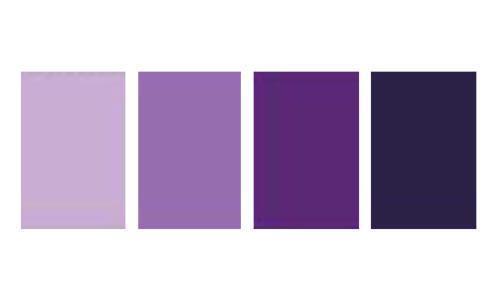 深紫色配什么颜色好看