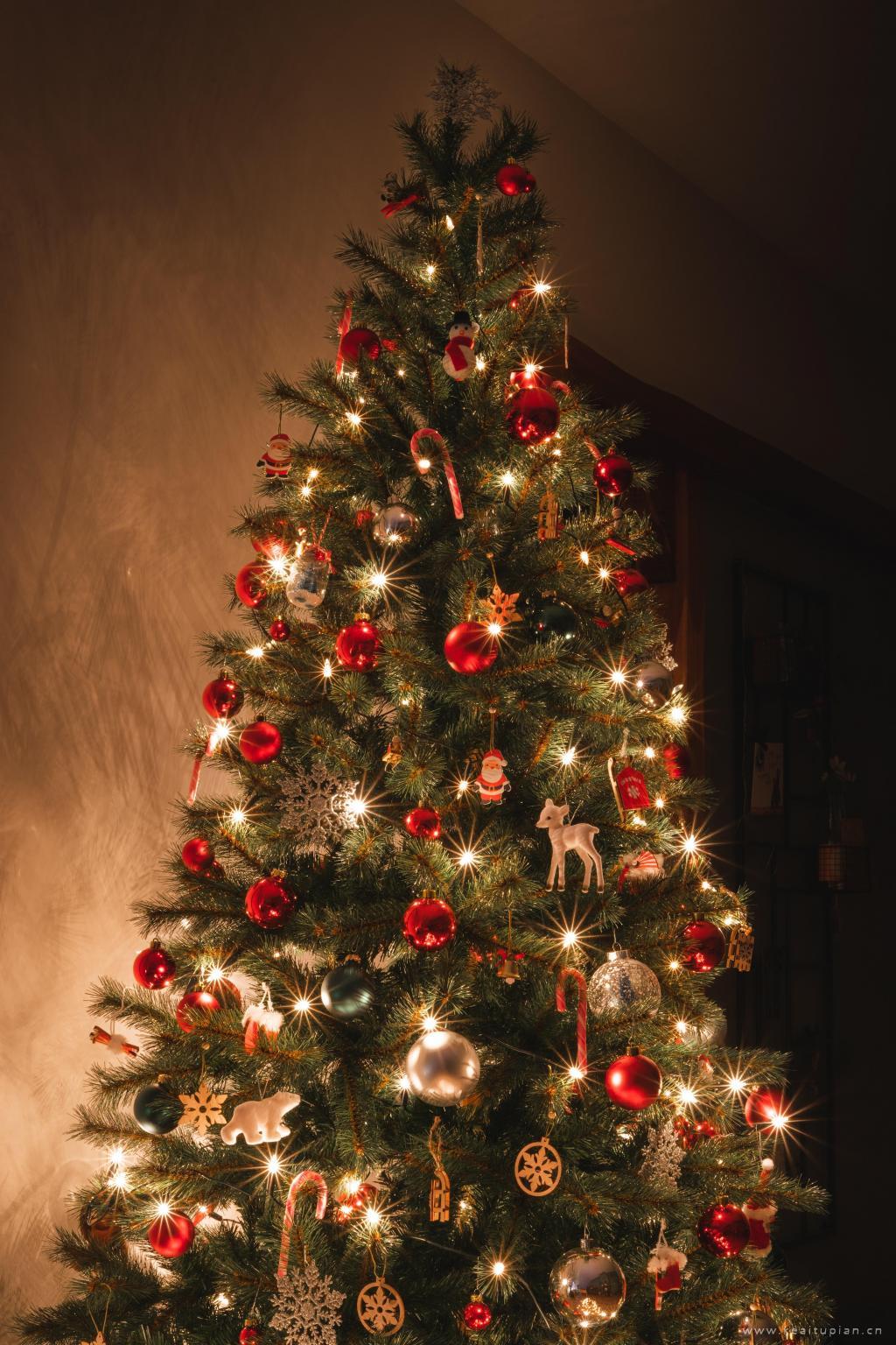 精美漂亮的圣诞树